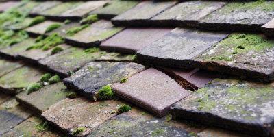 Latchbrook roof repair costs